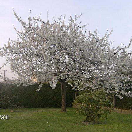 Nuitee Zen Διαμέρισμα Montigny-le-Chartif Εξωτερικό φωτογραφία